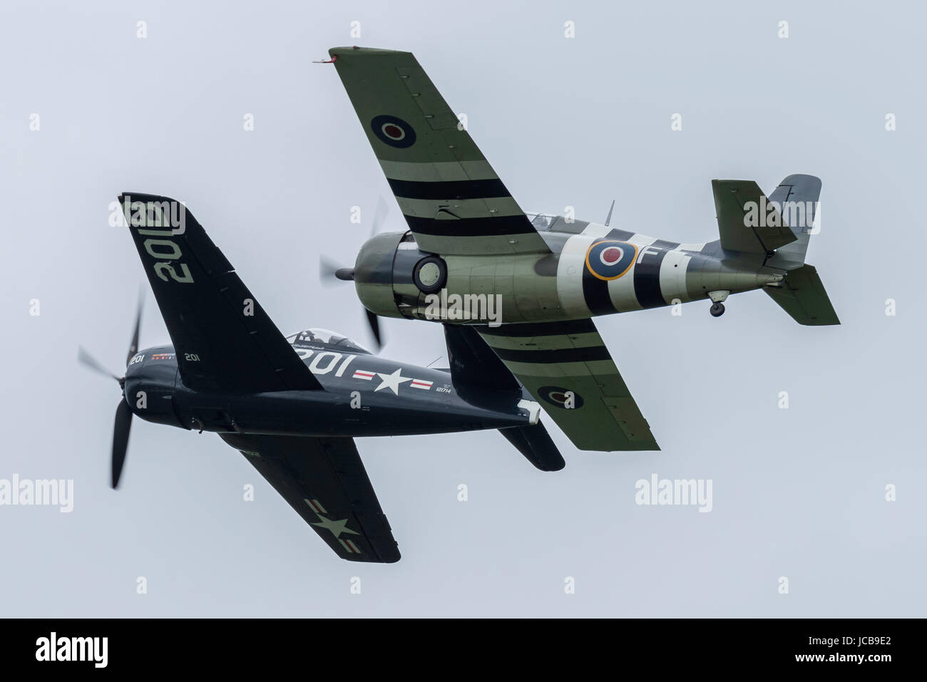 Grumman Bearcat Wildcat Stockfoto