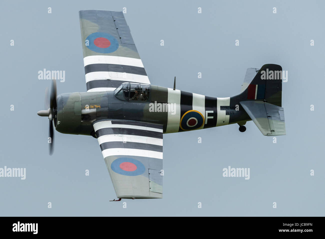 Grumman Bearcat Wildcat Stockfoto