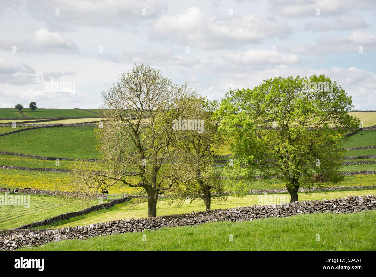 Schöne Landschaft in der Nähe von Litton Dorf in den Peak District, England. Stockfoto