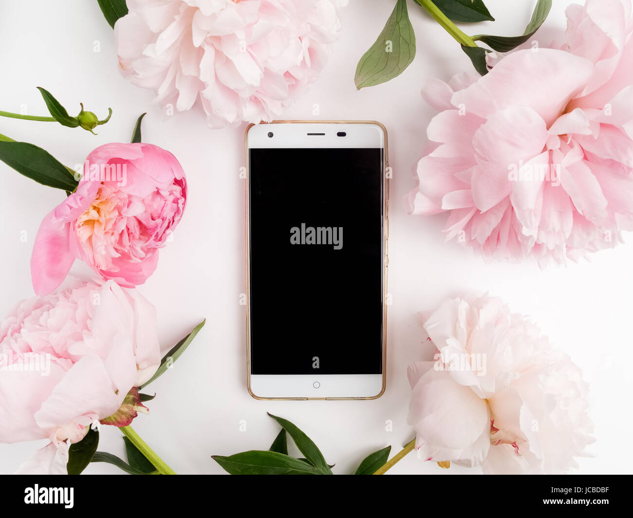 weiße Telefon mit einem klaren Bildschirm auf weißem Hintergrund. Pfingstrosen-Rahmen um. Flach zu legen. Stockfoto