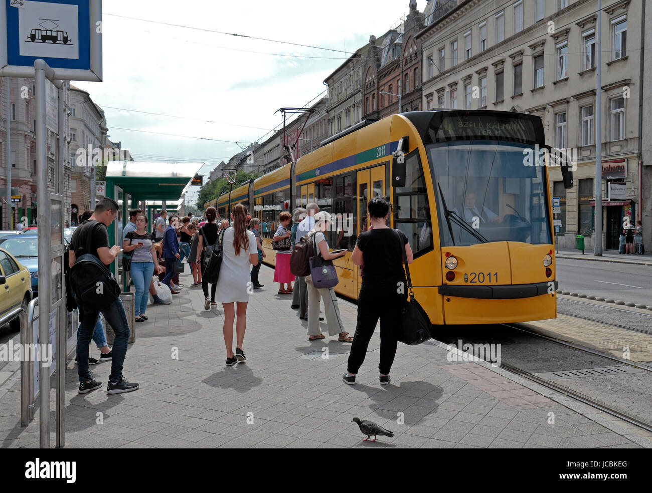 Elektrische Straßenbahn in Budapest, Ungarn. Stockfoto