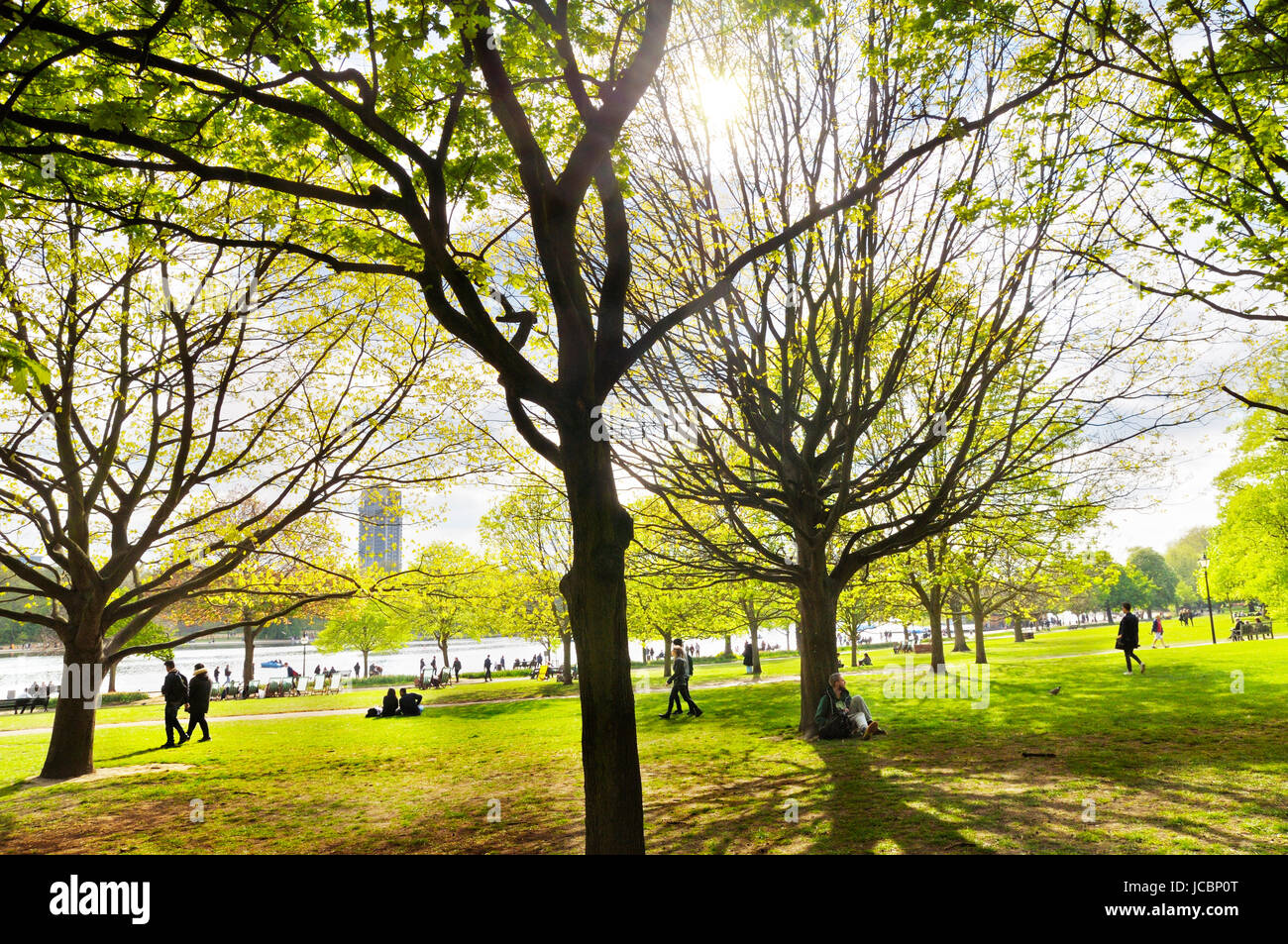 Hyde Park, London.  Ein gemütlicher Spaziergang unter sonnigen Bäumen im Londoner Hyde Park in Richtung des berühmten Serpentine-Flusses. Stockfoto
