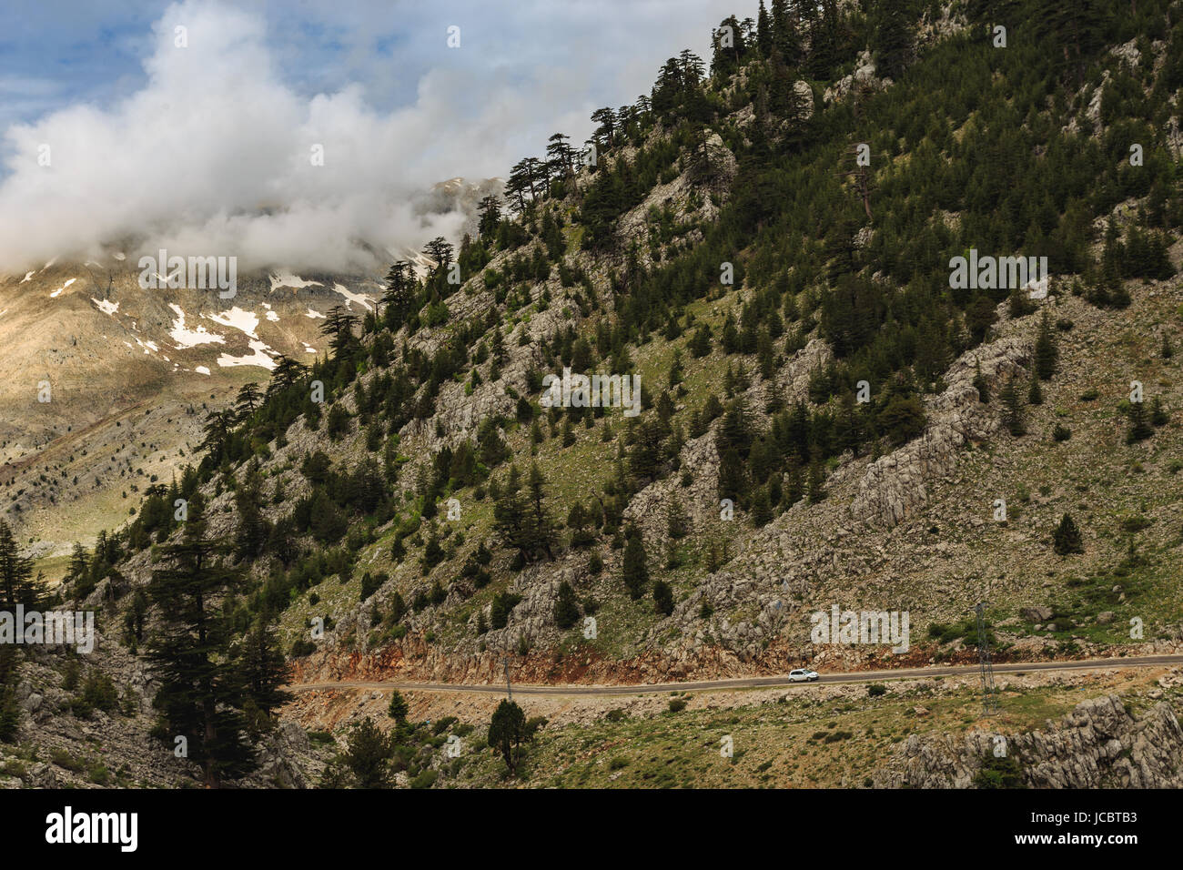Horizontalen Schuss der Berghang mit Kiefern wachsen auf es und Autobahn Stockfoto
