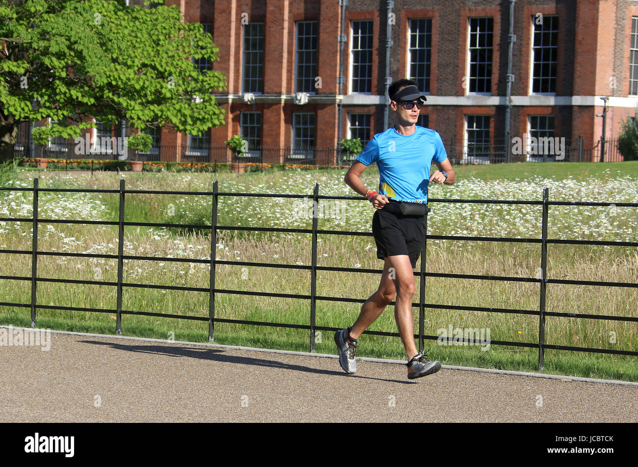 Jun14, 2017 - Jogger joggt durch Kensington Gardens, Royal Borough of Kensington und Chelsea in London Stockfoto