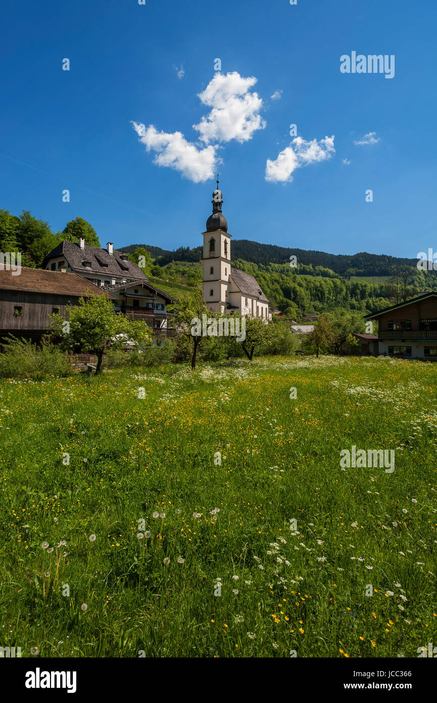 Pfarrei St. Sebastian Kirche, Blume Wiese, Ramsau, Berchtesgadener Land, Oberbayern, Deutschland Stockfoto