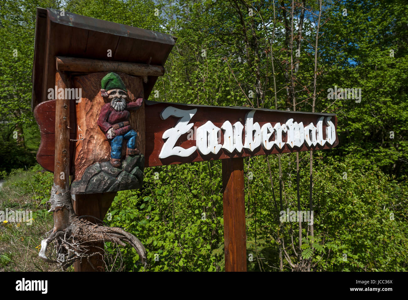 Melden Sie Zauberwaldes, Ramsau, Berchtesgadener Land, Oberbayern, Deutschland Stockfoto