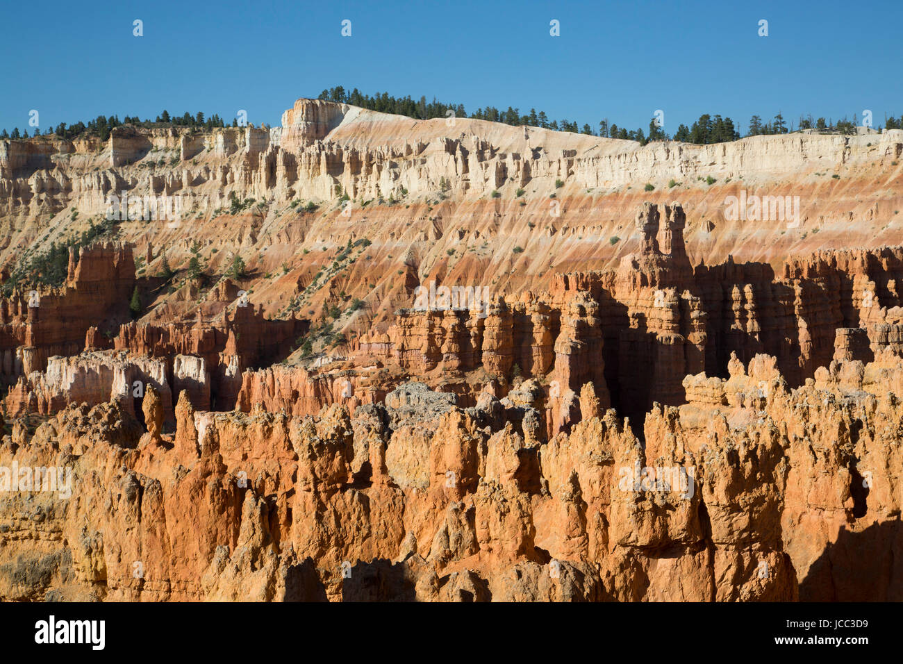 Blick von der Rim Trail, Bryce-Canyon-Nationalpark, Utah, USA Stockfoto