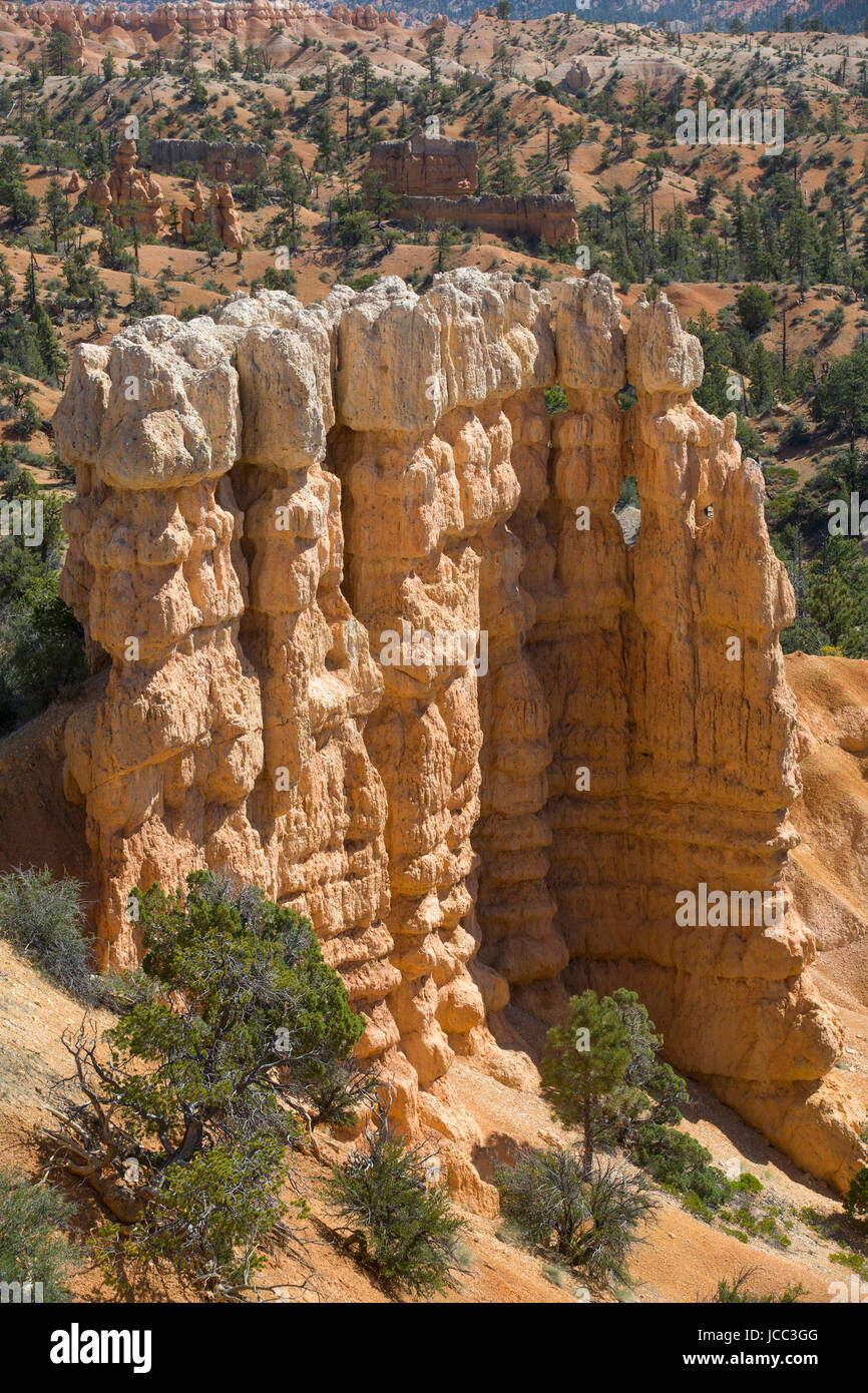 Blick aus der Fairyland Loop Trail, Bryce-Canyon-Nationalpark, Utah, USA Stockfoto