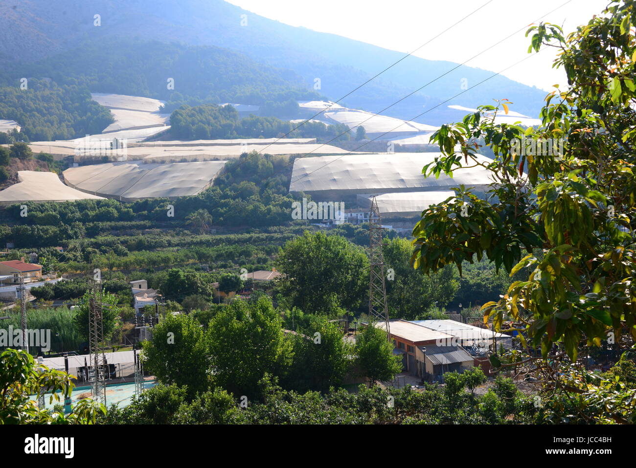 Natur Natur Stockfoto