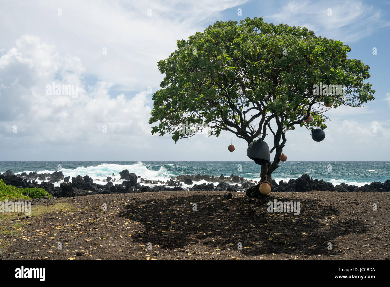 Pazifischen Ozean bricht gegen Lavafelsen am Keanae hinter einziger Baum Stockfoto