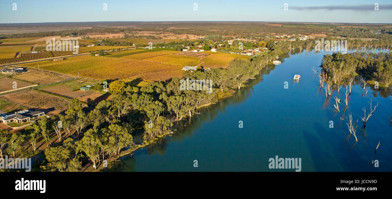Weinberge und Wohnsiedlungen Klammern sich an den Murray River nahe Mildura, Australien. Stockfoto