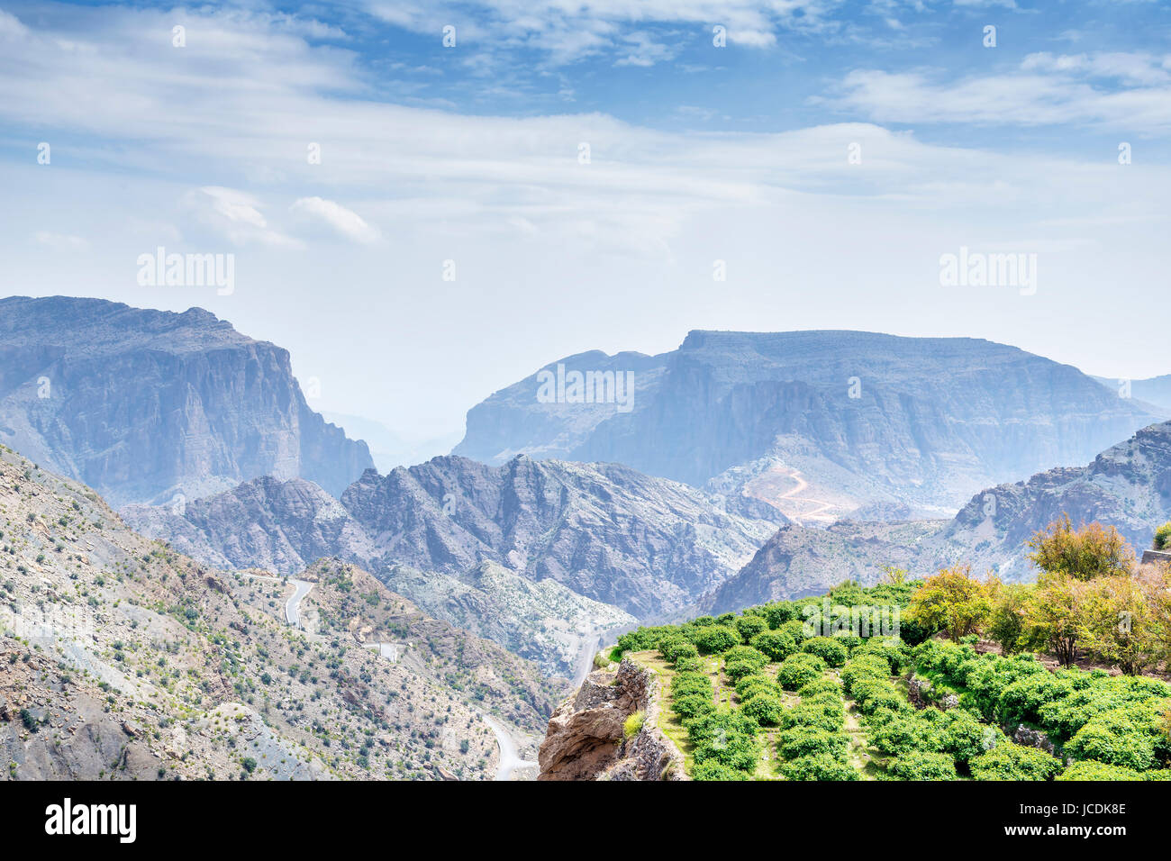 Bild der Landschaftsbäume auf Jebel Akhdar Saiq Plateau in Oman Stockfoto