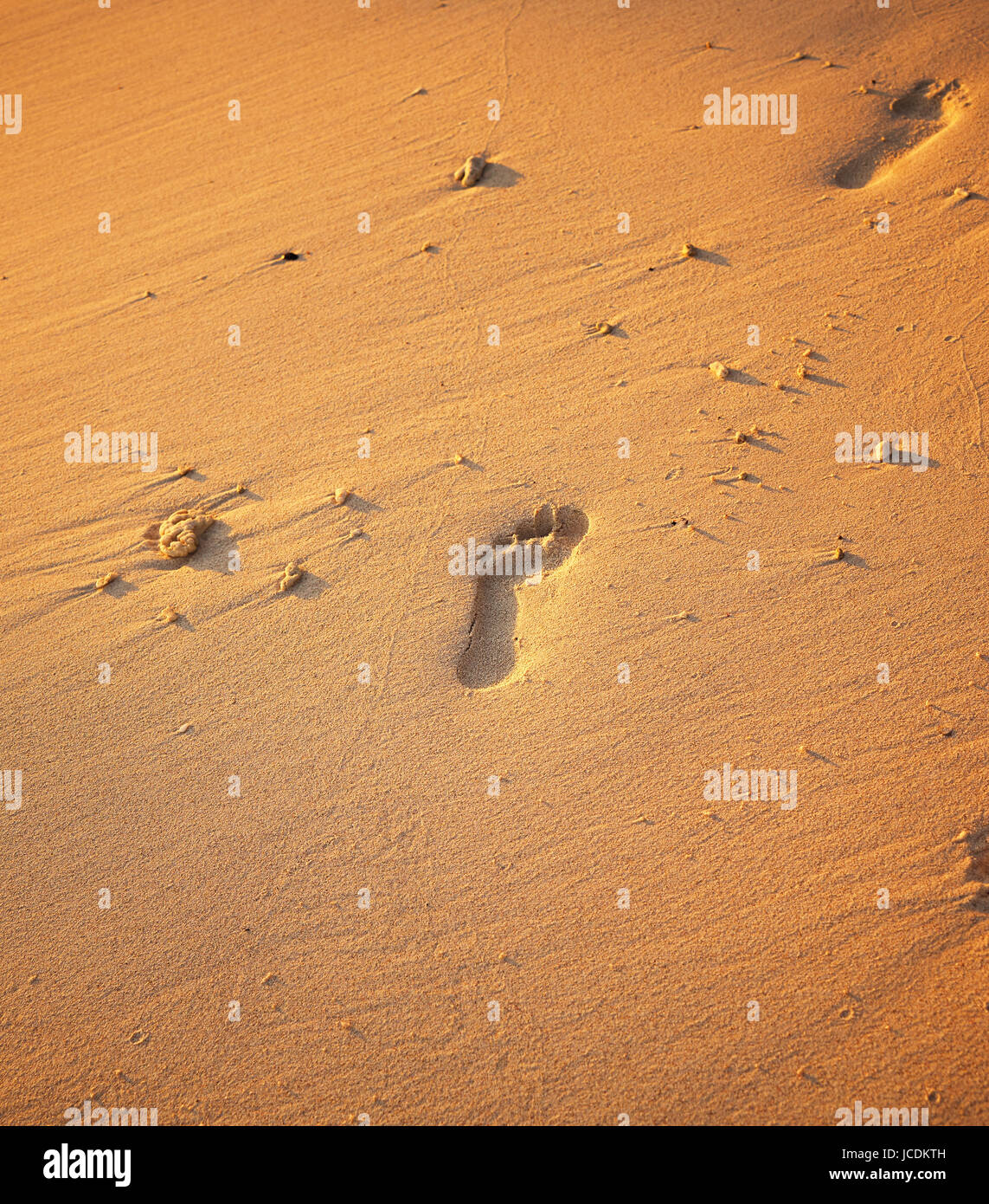 Nahaufnahme der Fußabdrücke auf dem Strandsand auf die goldene Stunde. Stockfoto