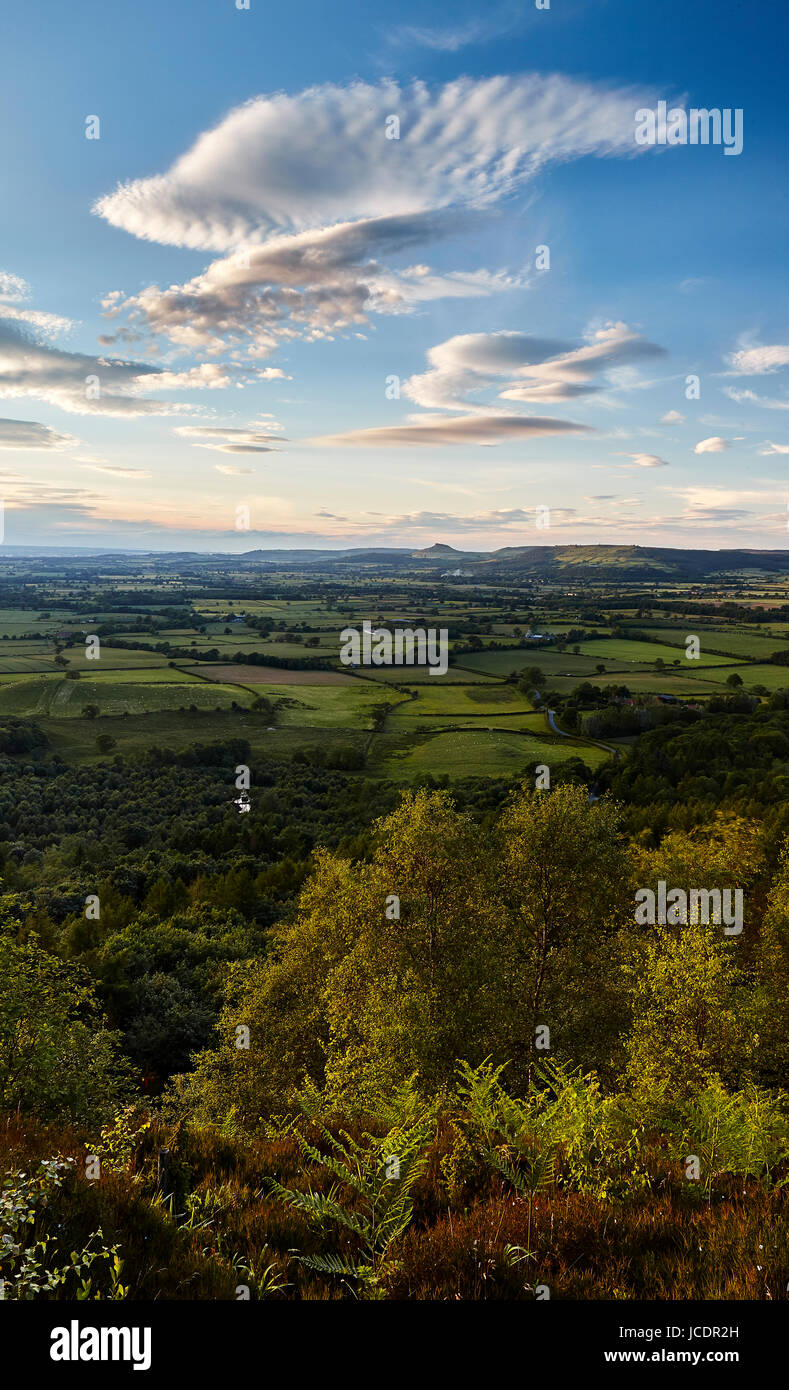 Vista von North Yorkshire von der Cleveland-Art.     Alle Rechte vorbehalten Stockfoto