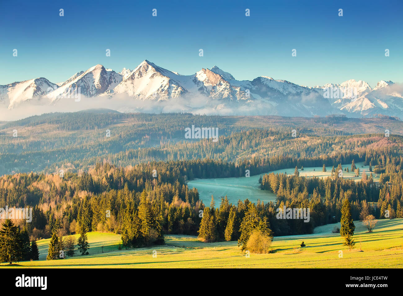 Sommertag in Alpen. Sonniger Tag im Alpental. Blauer Himmel über schneebedeckten Alpengipfel. Sonnige Hochtal am Morgen. Stockfoto