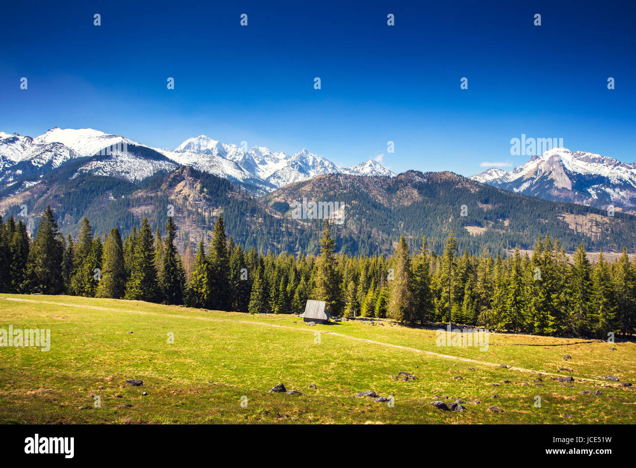 Picteresque Alpental an einem sonnigen Sommertag. Blauer Himmel über weißen, schneebedeckten Gipfeln. Bunte lebendige Alpine Landschaft. Stockfoto