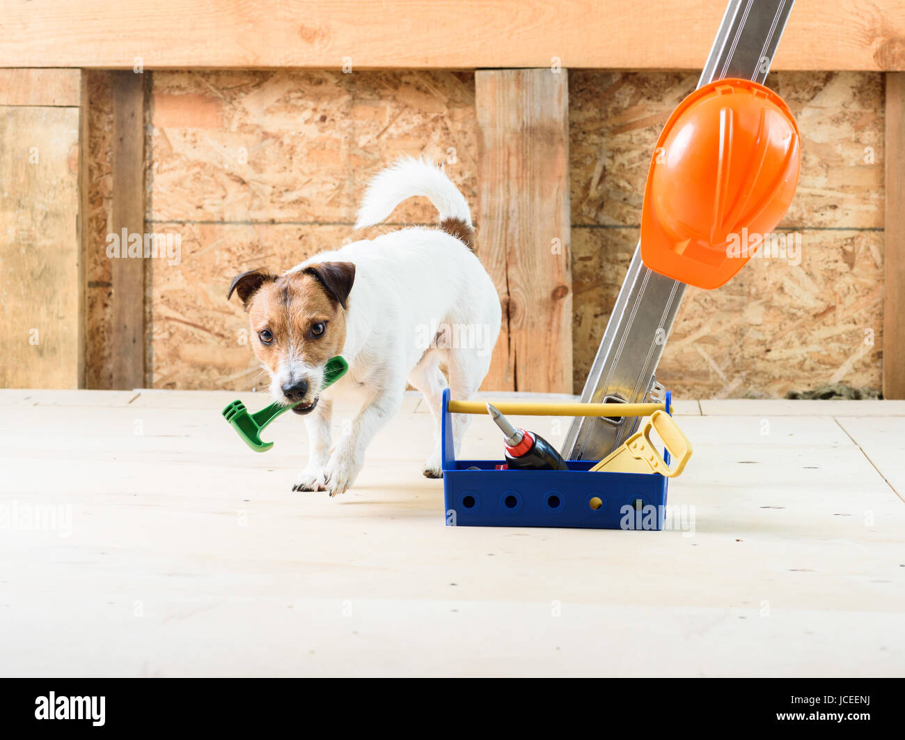 Hund auf Baustelle kommen vor der Kamera und das Abrufen der hammer Stockfoto