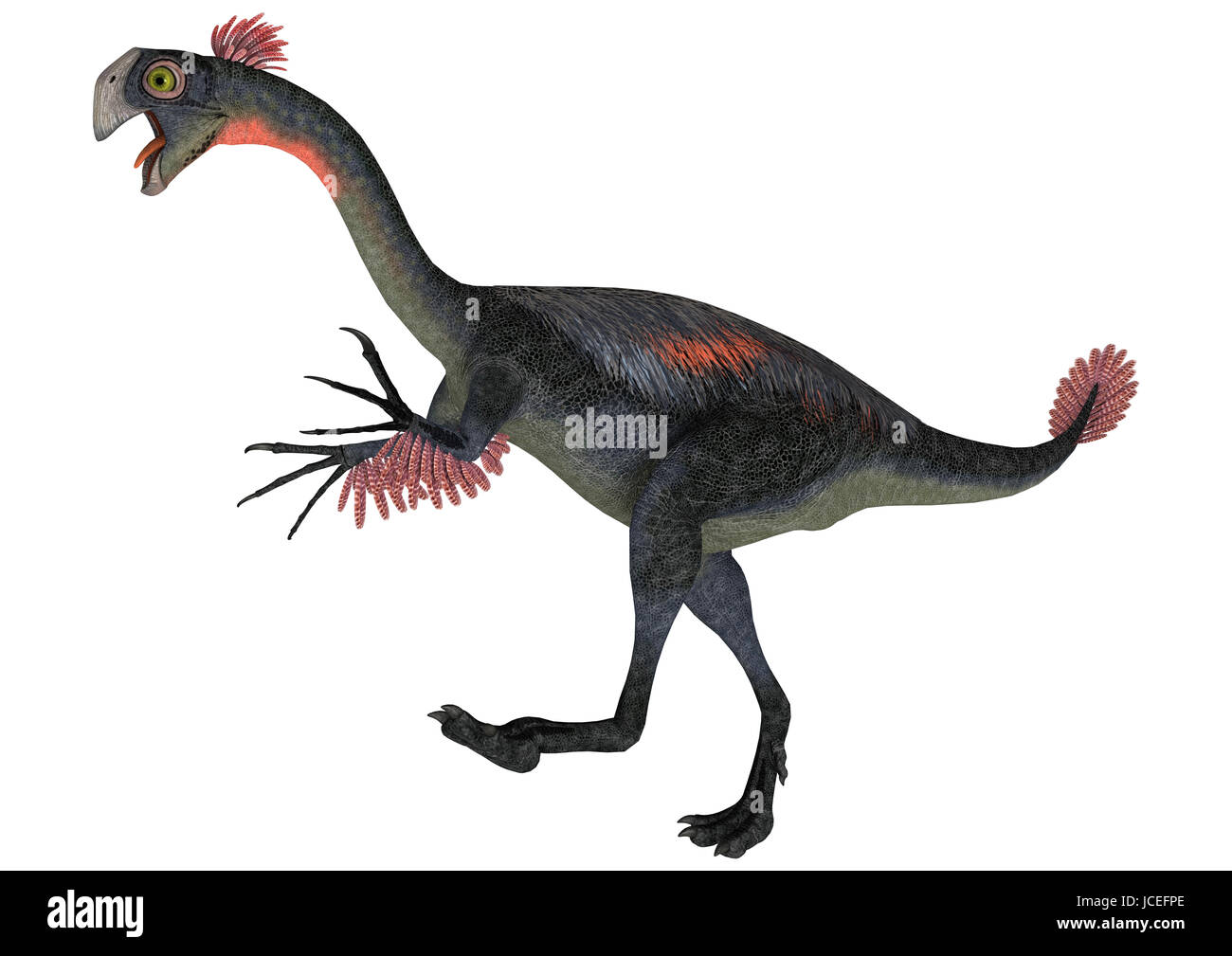 Digitale 3D Rendern von einem Dinosaurier Gigantoraptor isoliert auf weißem Hintergrund Stockfoto