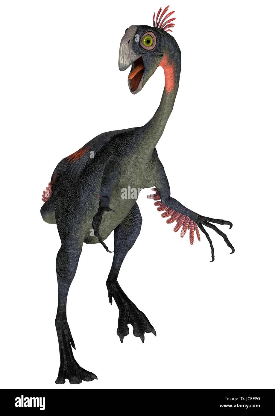Digitale 3D Rendern von einem Dinosaurier Gigantoraptor isoliert auf weißem Hintergrund Stockfoto