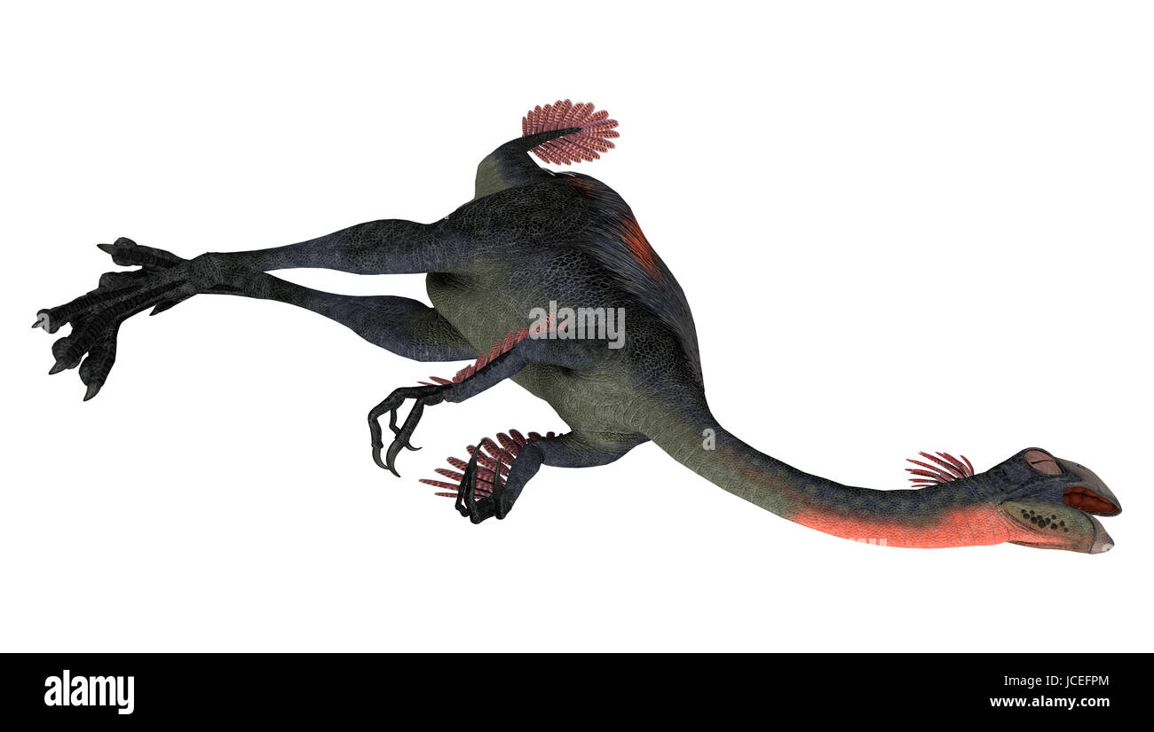 Digitale 3D Rendern von einem Dinosaurier Gigantoraptor isoliert auf weißem Hintergrund Stockfoto