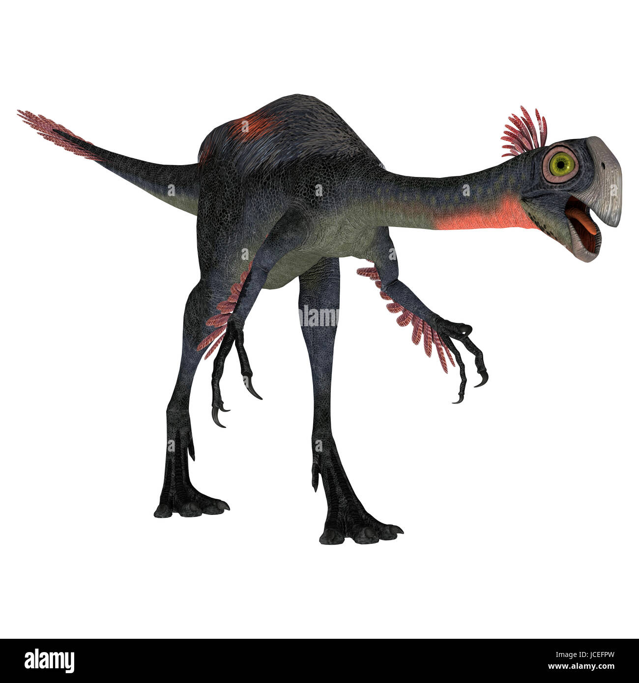 D digital Rendern von einem Dinosaurier Gigantoraptor isoliert auf weißem Hintergrund Stockfoto