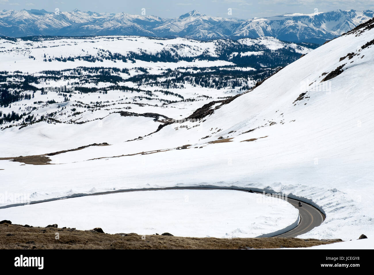 Der Beartooth Highway (Beartooth Pass) der all American scenic Highway erreicht eine Höhe von 10.947 ft zwischen Cooke City und Red Lodge Montana, USA. Stockfoto