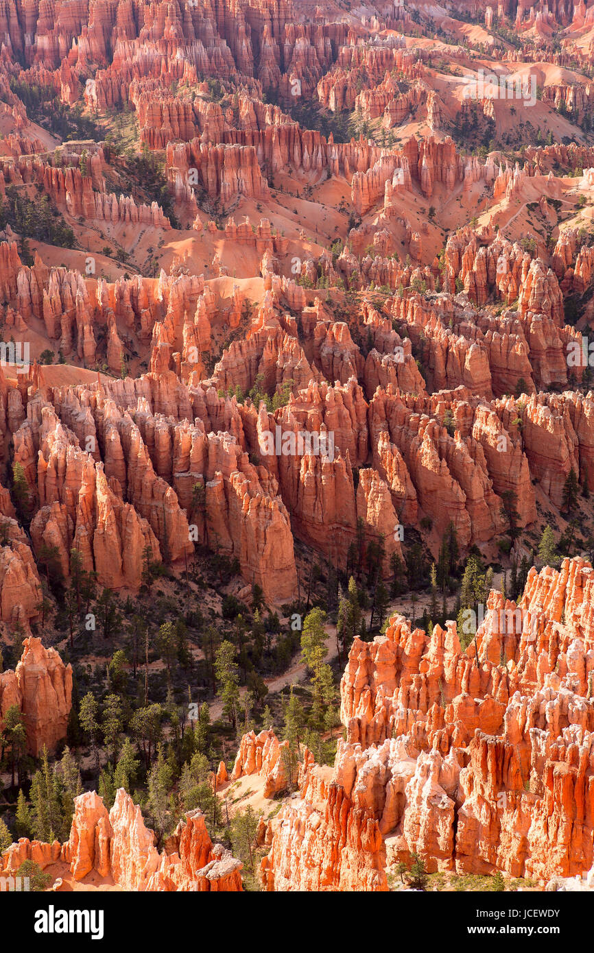 rote Spitzen in den Sonnenuntergang in Bryce Canyonnational Park, Utah Stockfoto