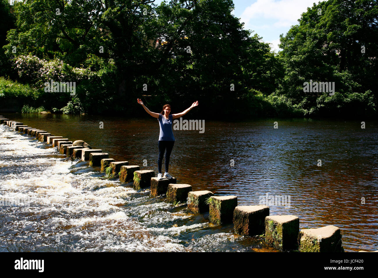 IIkley, UK. 15. Juni 2017. Einem anderen warmen, sonnigen Tag in Ilkley in der Nähe von Leeds, ging diese Frau über die Trittsteine auf dem Fluß Wharfe. Aufgenommen am 15. Juni 2017. Bildnachweis: Andrew Gardner/Alamy Live-Nachrichten Stockfoto