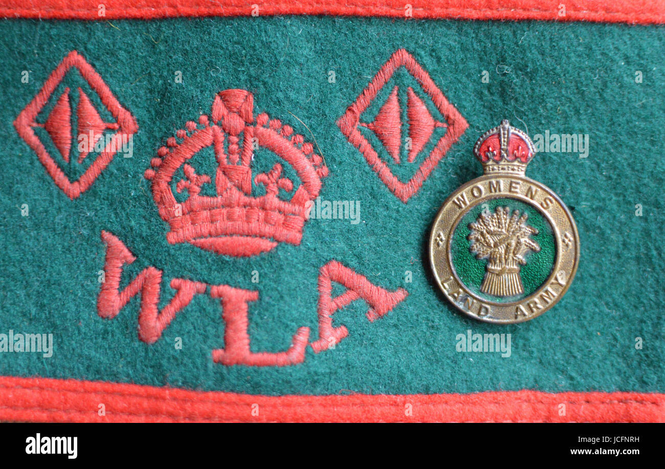 Frauen Landarmee Insignien, WW2 Heimatfront Stockfoto