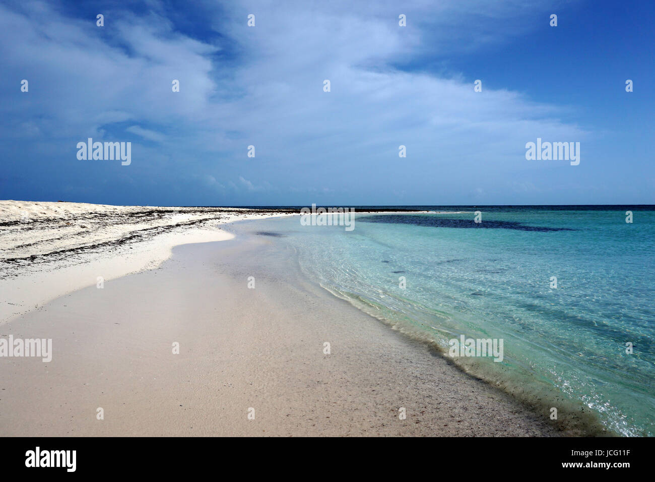 Coco-Punkt-Barbuda Stockfoto