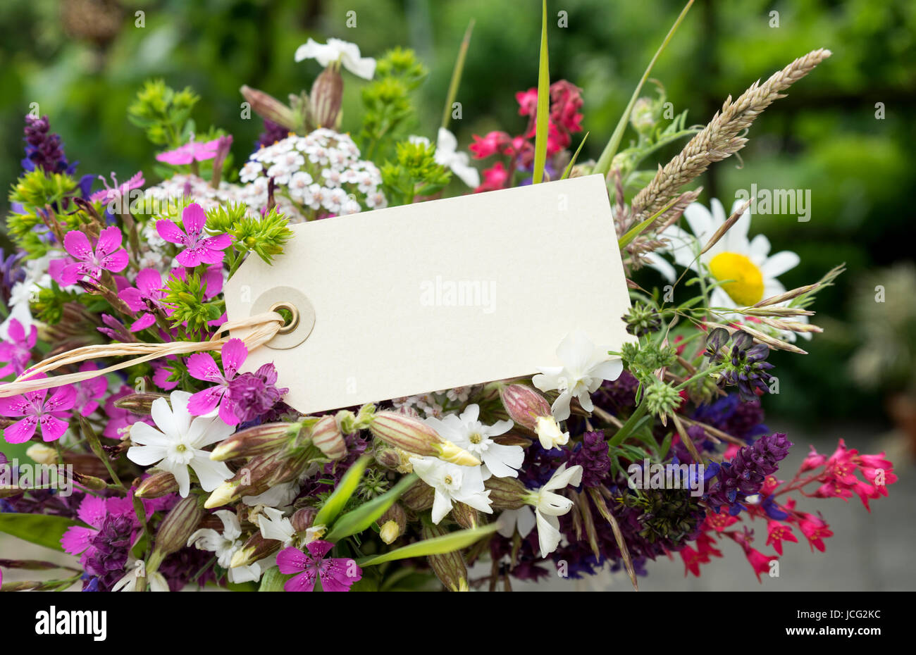 Bunter Strauß mit Wiesenblumen und Karte Stockfoto