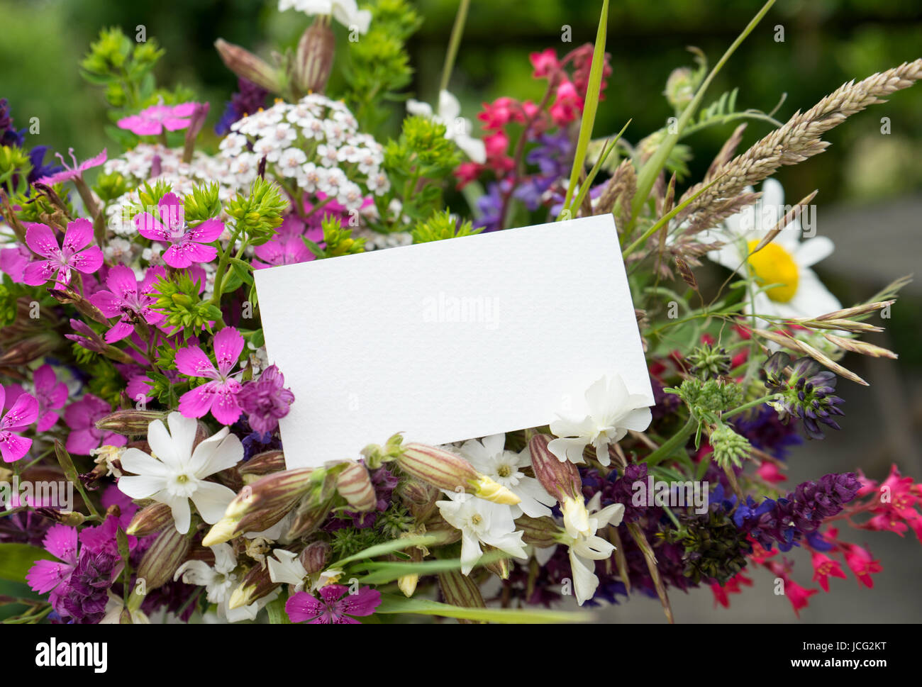 Bunter Strauß mit Wiesenblumen und Karte Stockfoto