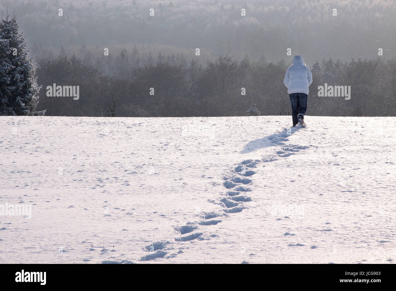 Spaziergänger in Schneelandschaft Bei Engenhahn Im Taunus, Hessen, Deutschland Stockfoto