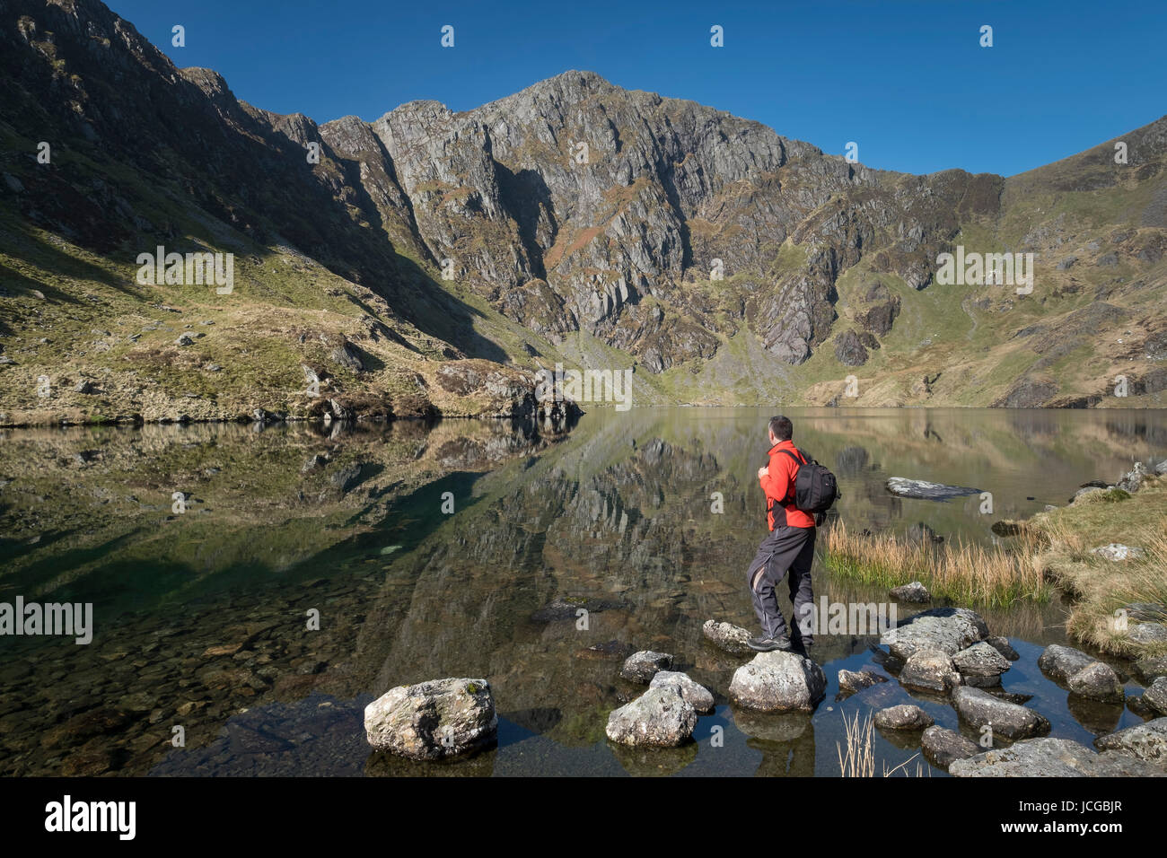 Ein Spaziergänger genießen Sie den Blick über Llyn Cau unterstützt durch Craig Cau, Cadair Idris, Snowdonia National Park, North Wales, UK Stockfoto