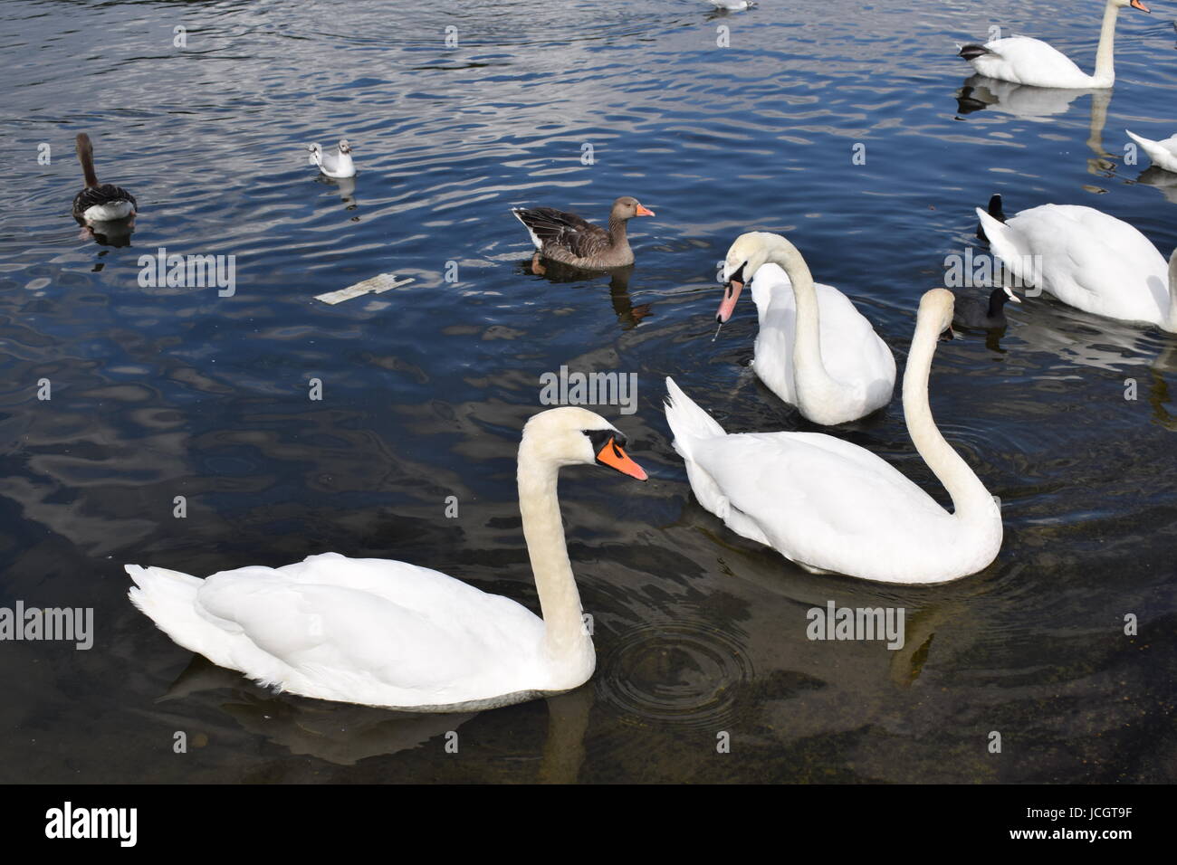 Wellington Arch und Hyde Park 2016 Stockfoto