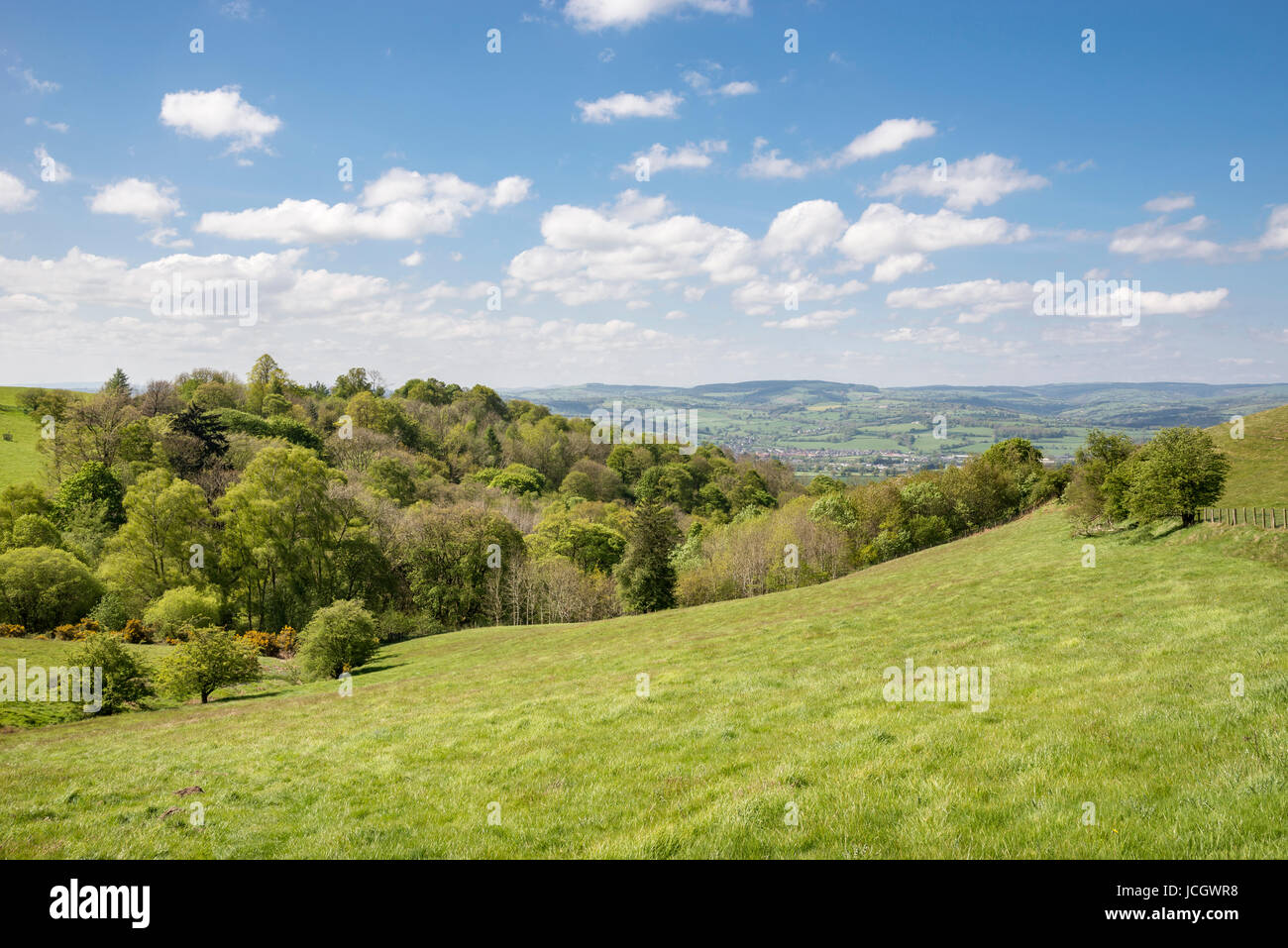 Schönen sonnigen Tag in der Nähe von Llanbedr und Ruthin in den Hügeln des Moel Famau Country Park, Wales. Stockfoto