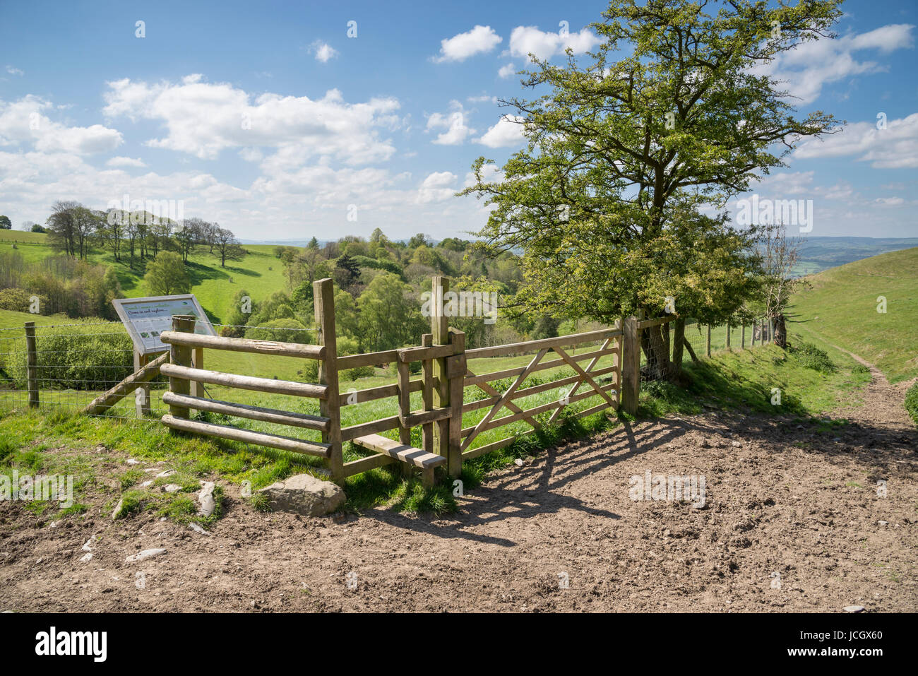 Tor und Stil in Coed Ceunant, ein Wald Treuhandbereich unter Moel Famau Country Park, Ruthin, Nordwales. Stockfoto