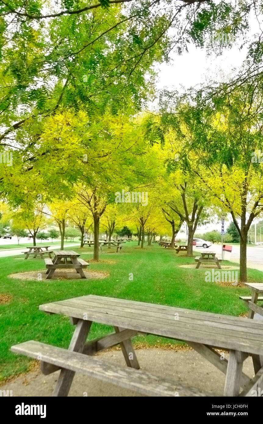 Ändern der Farbe für den Herbst hier im Osten der Vereinigten Staaten Stockfoto