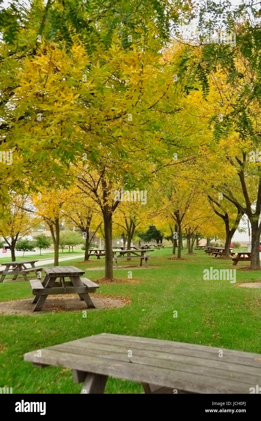 Ändern der Farbe für den Herbst hier im Osten der Vereinigten Staaten Stockfoto