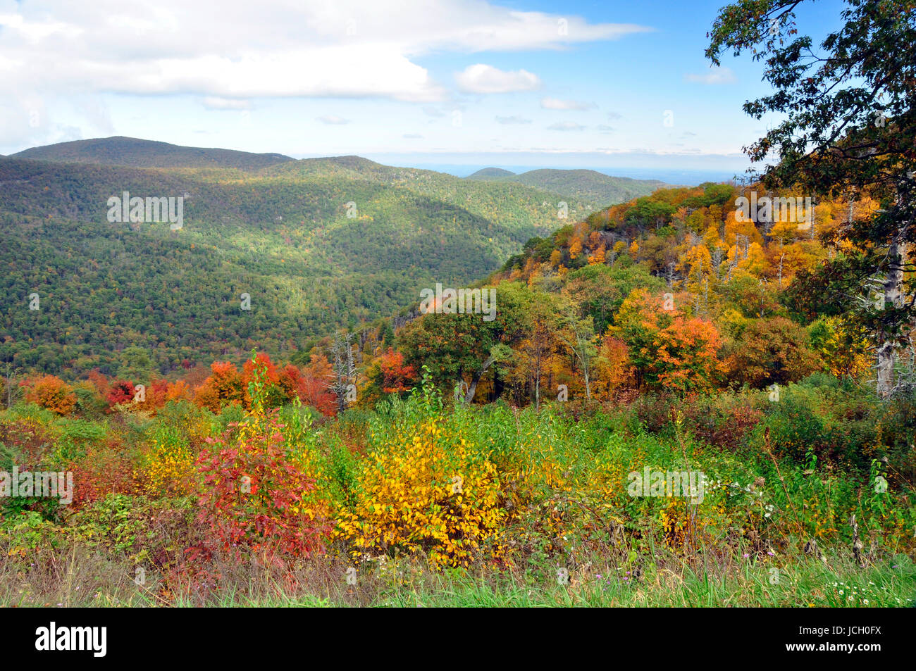Ändern der Farbe für den Herbst hier im Osten der Vereinigten Staaten Stockfoto