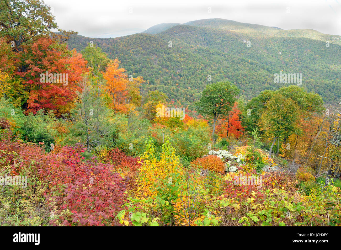 Ändern der Farbe für den Herbst hier im Osten der Vereinigten Staaten Stockfoto