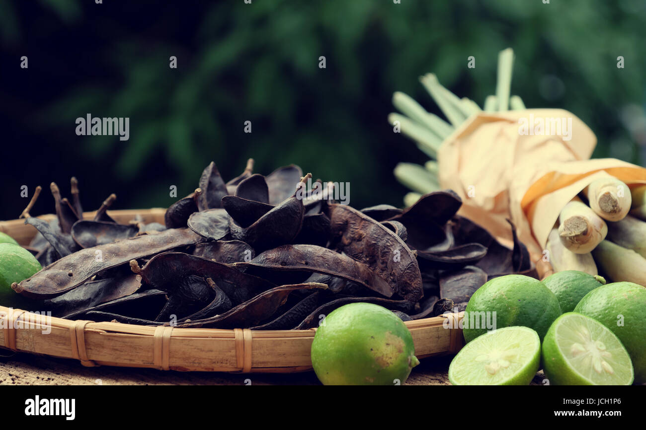 Pflanzliche Zutat für die Haarpflege zu Hause aus Seife Berry, Zitrone, Citronella Pflanze, kochen alle Materialien mit Wasser zu Naturshampoo Stockfoto