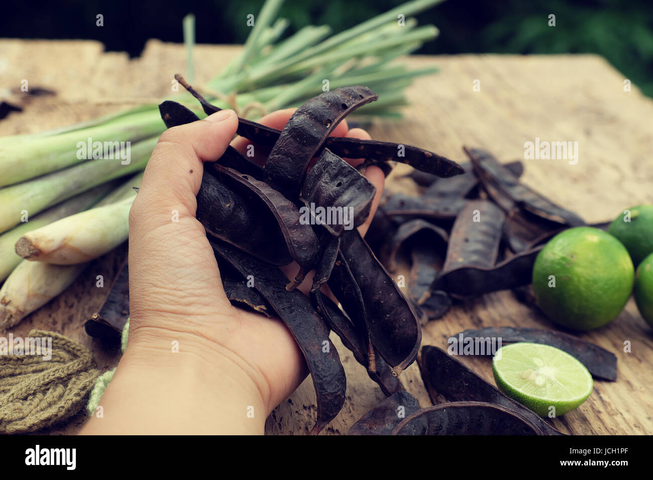 Pflanzliche Zutat für die Haarpflege zu Hause aus Seife Berry, Zitrone, Citronella Pflanze, kochen alle Materialien mit Wasser zu Naturshampoo Stockfoto