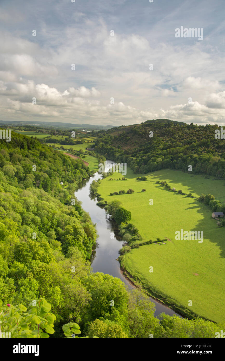 Der Fluss Wye von Symonds Yat, Herefordshire, England, Uk Stockfoto