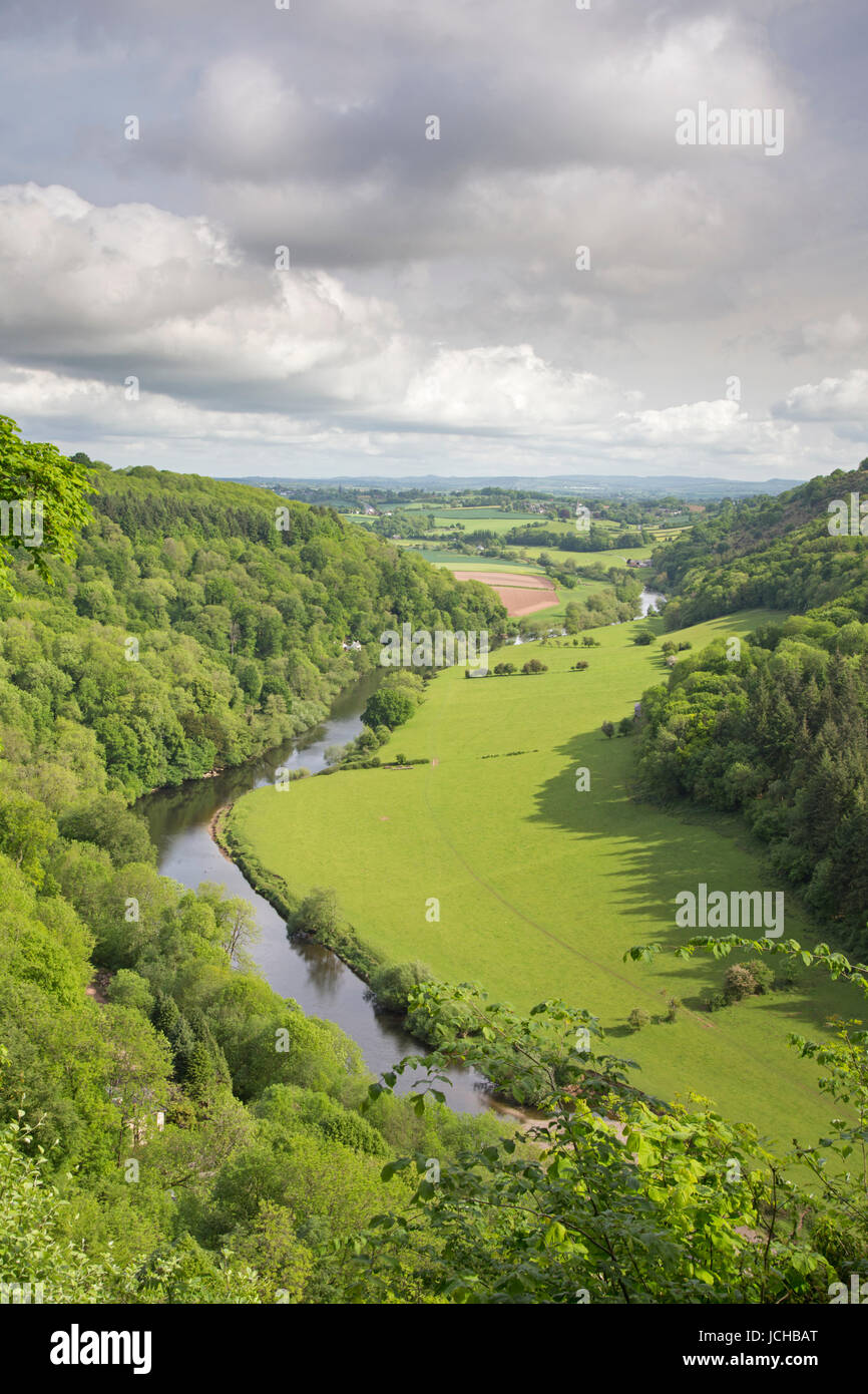 Der Fluss Wye von Symonds Yat, Herefordshire, England, Uk Stockfoto