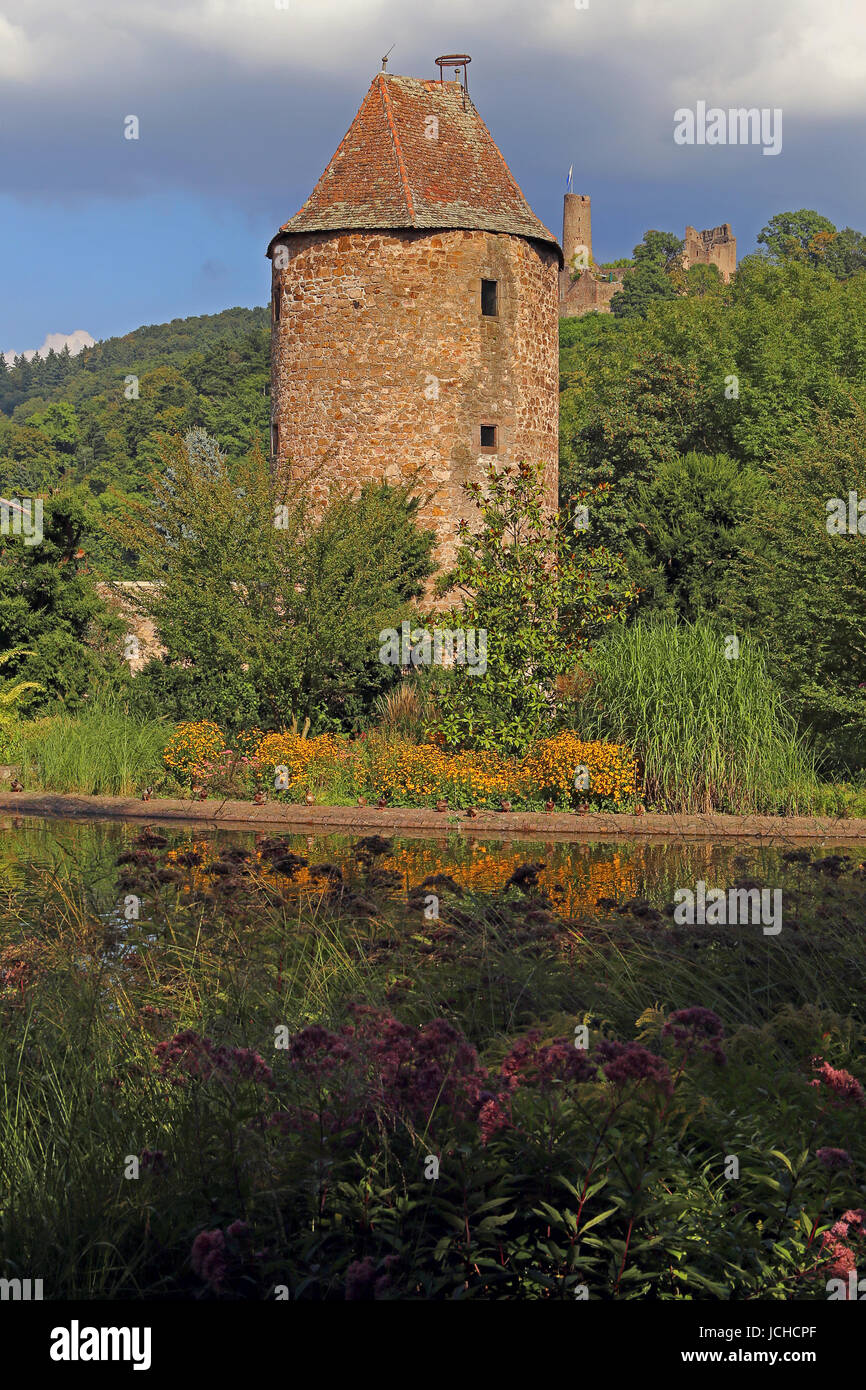 Blauer Hut in Weinheim und Burgruine im Herbst Stockfoto