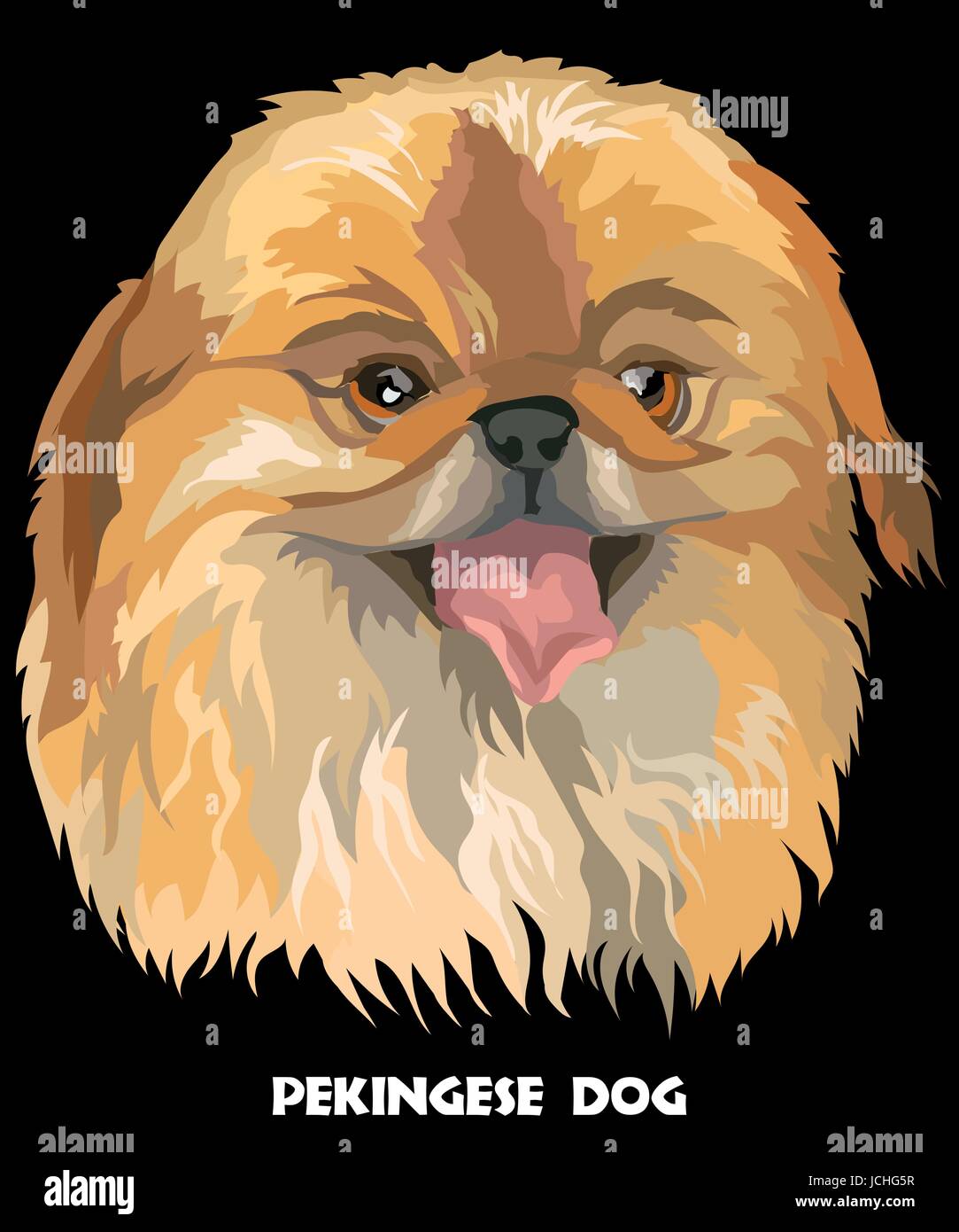 Farbigen Porträt von Pekinese Hund Vektor Illustration auf schwarzem Hintergrund Stock Vektor