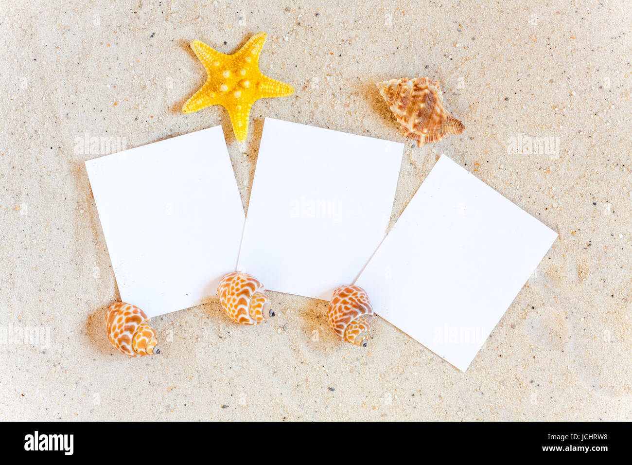 Drei Leere Sofortbilder Stück Mit Muscheln Im Sand Stockfoto