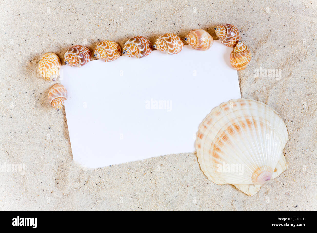 Muscheln Rahmen Leere Weiße Ansichtskarte Stockfoto
