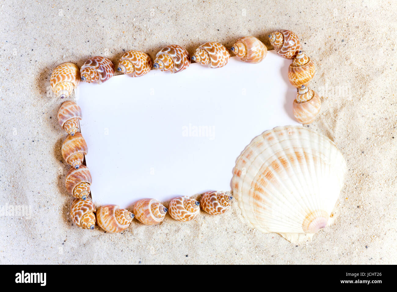 Muscheln Rahmen Leere Weiße Ansichtskarte Stockfoto